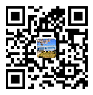 手機(jī)站 手機(jī)站